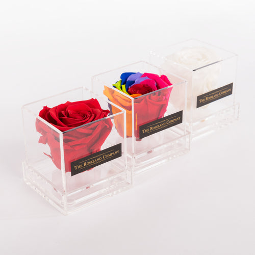 Eternity rose, trasparente cube box